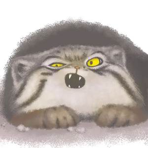 五月天激情视频
