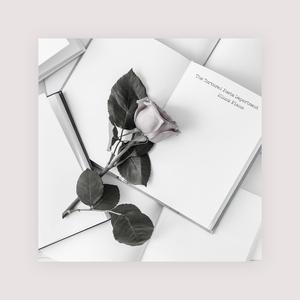 五月天激情视频
